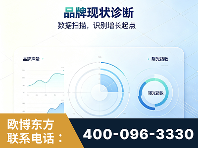 海城-品牌现状诊断