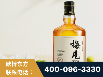 海城-梅见青梅酒